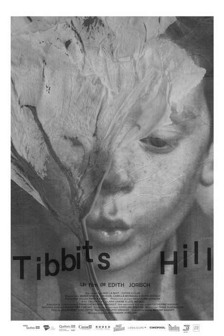 Tibbits Hill
